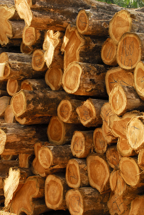 Teak Wood Curated Material